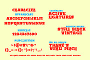 Trick Echo, a Serif Font by Bramcreative (Thumbnail 3 of 8)