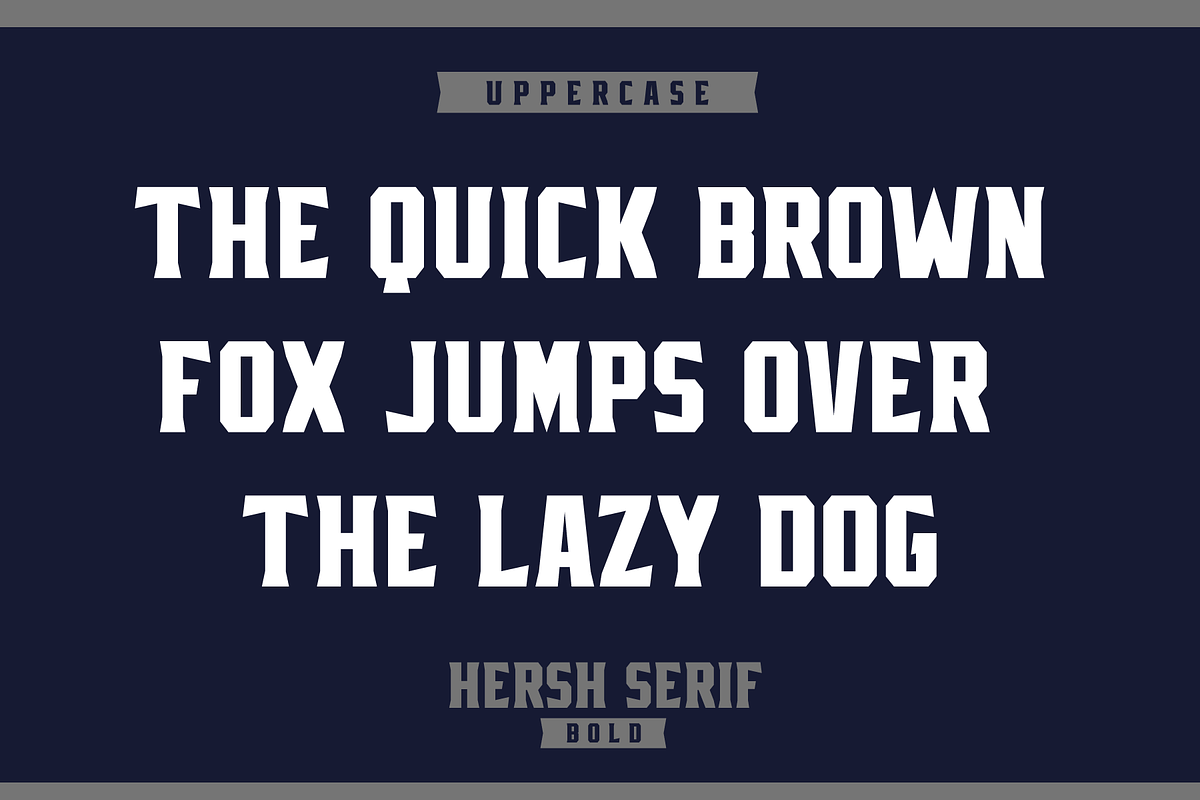 HERSH SERIF FONT FAMILY, a Serif Font by Alphabet Agency (Photo 8 of 14)
