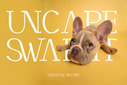 CORTEXO – Modern Serif Typeface, a Serif Font by Foxtype (Thumbnail 4 of 7)