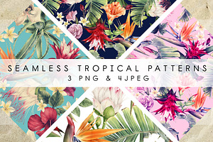 Tropical Patterns UPDATE 1 Pattern