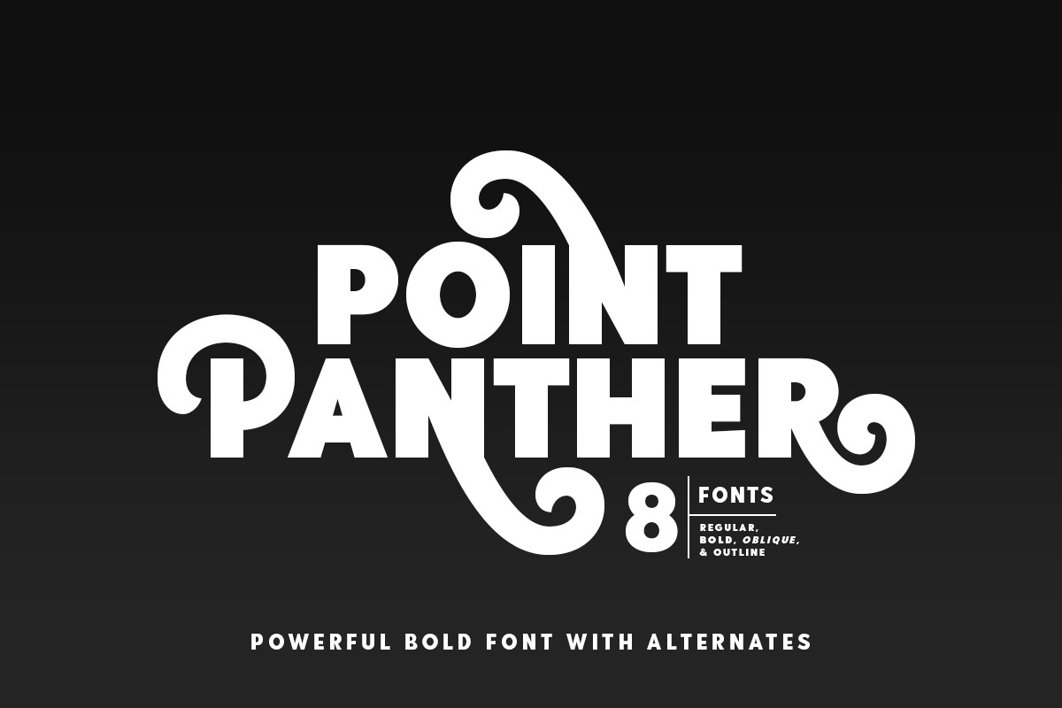Point Panther (8 BOLD FONTS), a Sans Serif Font by Sarid Ezra (Photo 10 of 10)
