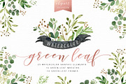 Watercolor Green Leaf Clip Art, an Illustration by Graphic Box (Thumbnail 1 of 6)