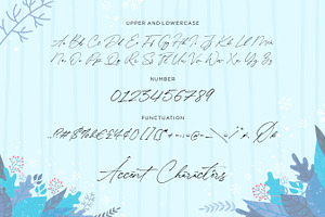 Winterlady- Beautiful Script Font