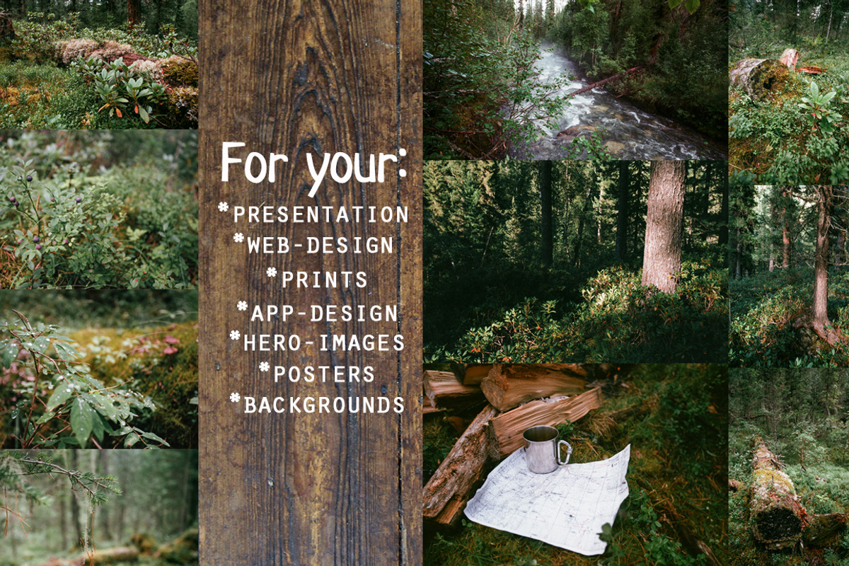 10 x Forest Film Photo Pack, a Nature Photo by GoodMomentShop (Photo 3 of 4)