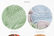 Into the Wild Collection, an Animal Illustration by GVGraphics (Thumbnail 16 of 24)