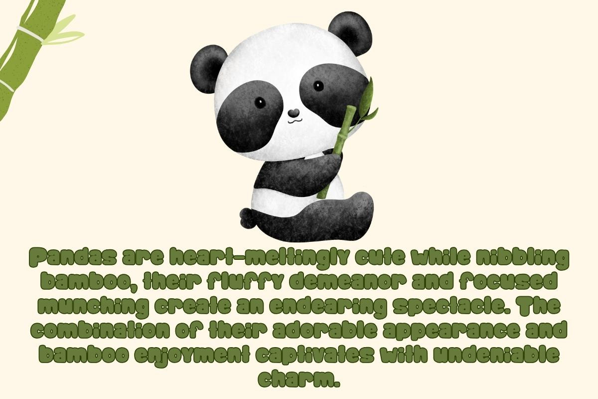 Happy Bamboo - Handwritting, a Blackletter Font by Charmingbear59.design (Photo 3 of 5)