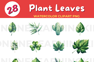 Botanical Beauty: Explore Nature's D, an Education Illustration by John_Walker