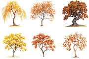 Watercolor Autumn Tree PNG Clipart, a Seasonal Illustration by SVGArt (Thumbnail 4 of 5)