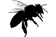 Bee Silhouette Bundle, a Background Graphic by Creativeshirt (Thumbnail 8 of 18)