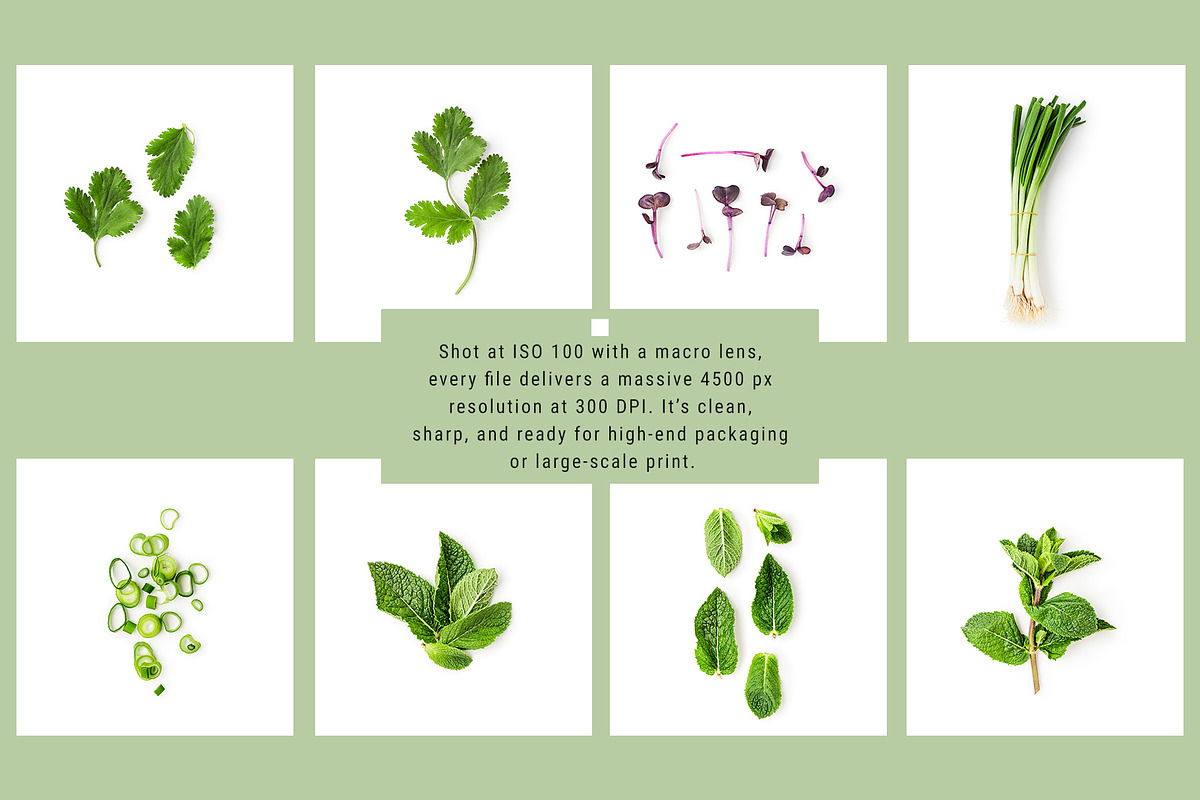 Organic Kitchen. Scene Creator, an Object Graphic by ifiStudio (Photo 3 of 6)