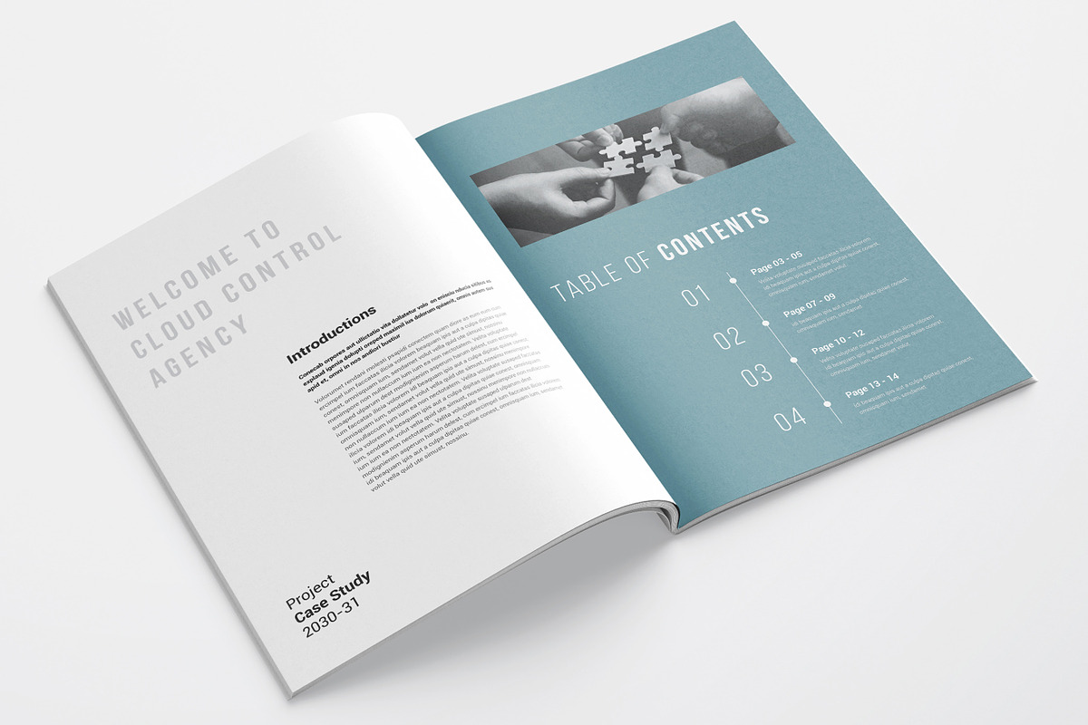Marketing Case Study Template, Canva, a Brochure Template by DesVert (Photo 2 of 8)