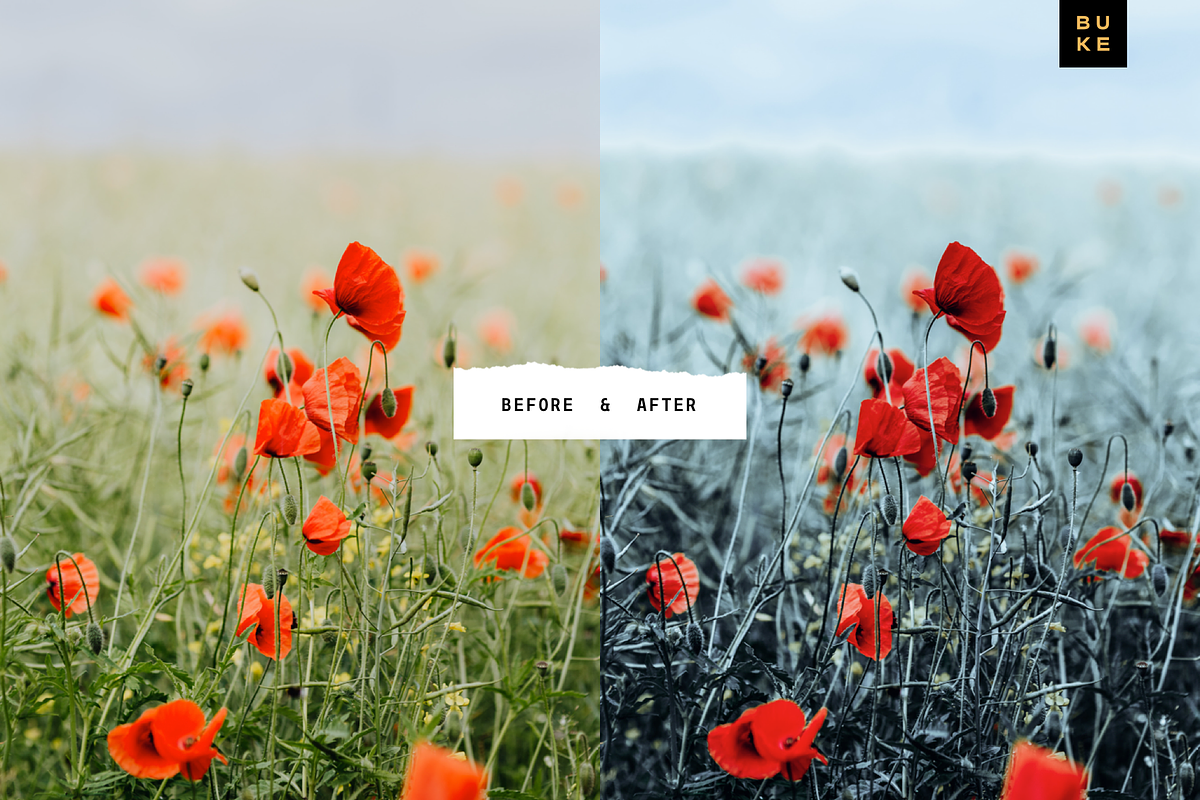 5 Cool Blush Lightroom Presets Pack, a Preset Add-On by SHOOM HOUSE (Photo 6 of 8)