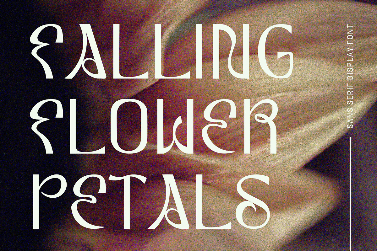 Lynoile Sans Serif Display Font, a Font by Maulana Creative (Photo 7 of 7)
