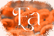 Lorestta // Elegant Luxury Serif, a Serif Font by ToniStudio (Thumbnail 11 of 16)