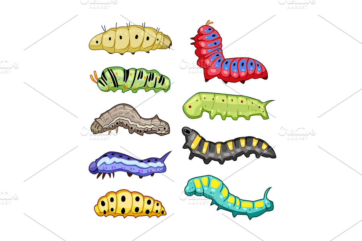 Colorful cartoon caterpillars, an Animal Illustration by pikepicture