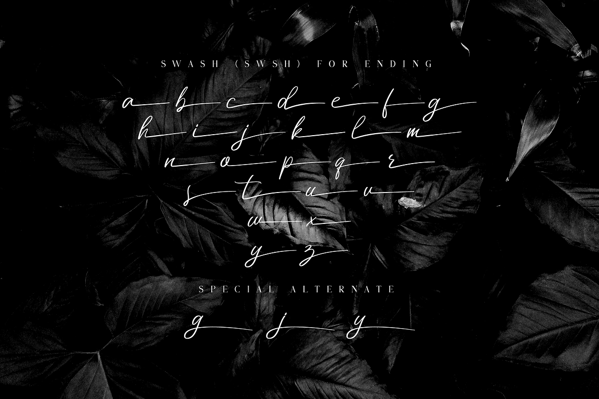 Miss Catlyne // Handwritten Script, a Script Font by Bluestudio (Photo 9 of 10)