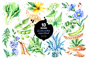 Watercolor Superfood Vector Set, a Food Illustration by Elena Pimonova (Thumbnail 1 of 5)