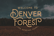 Baroneys - Vintage Typeface, a Sans Serif Font by sancreastd. (Thumbnail 3 of 11)