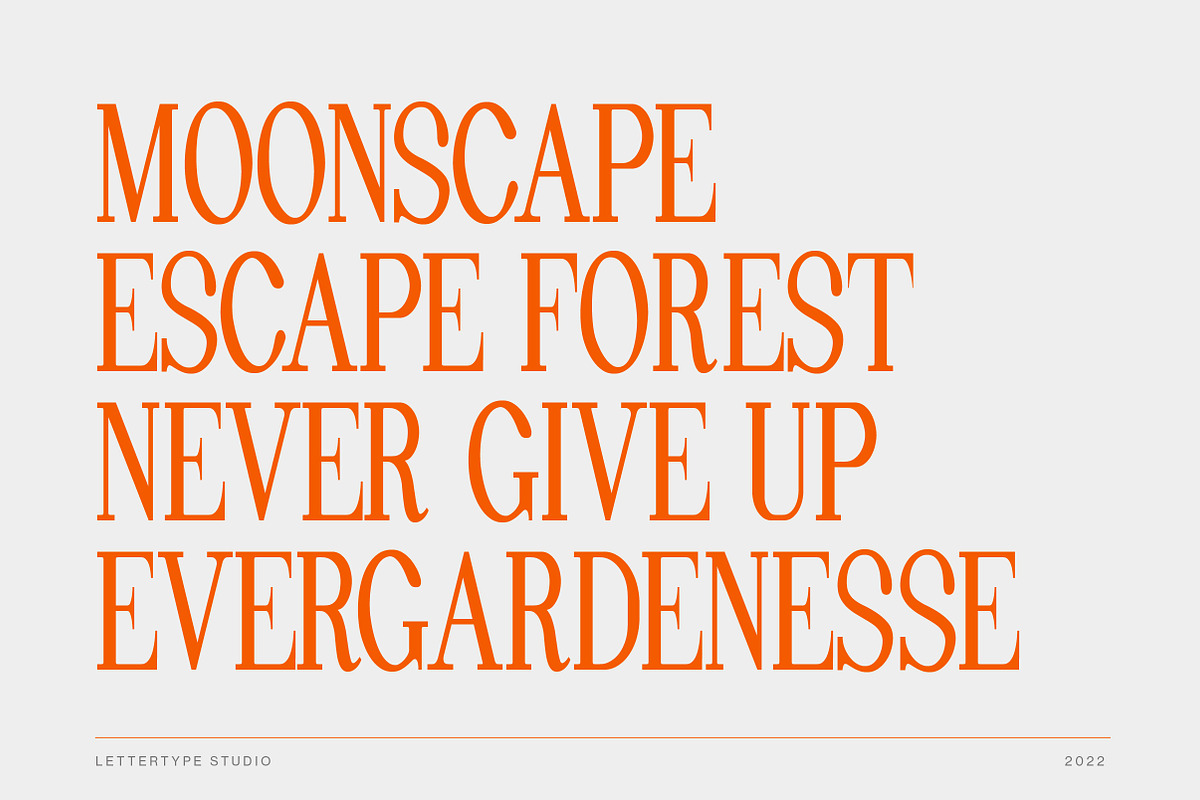 Pheromone | Modern Classic Serif, a Serif Font by Lettertype Studio (Photo 10 of 20)