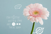 Maura Esui Font, a Font by Esui Studio (Thumbnail 2 of 6)