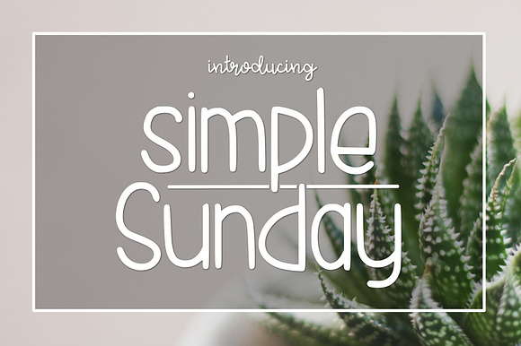 Simple Sunday preview 2