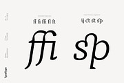 TT Tricks, a Serif Font by TypeType (Thumbnail 8 of 10)