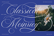 Bailentia Calligraphy, a Script Font by IM Studio (Thumbnail 4 of 10)