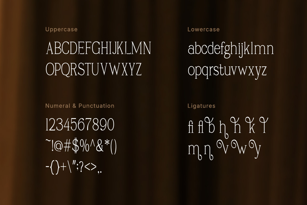 Carhane Modern Ligature Serif, a Serif Font by Vadovastd (Photo 2 of 7)