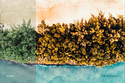 Orange and Teal - Lightroom Presets, an Action Add-On by Lookslabs (Thumbnail 6 of 13)