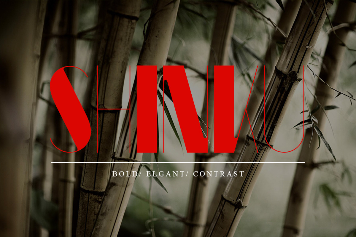 Font Bundle | 25 in 1, a Sans Serif Font by Anthony James (Photo 24 of 45)