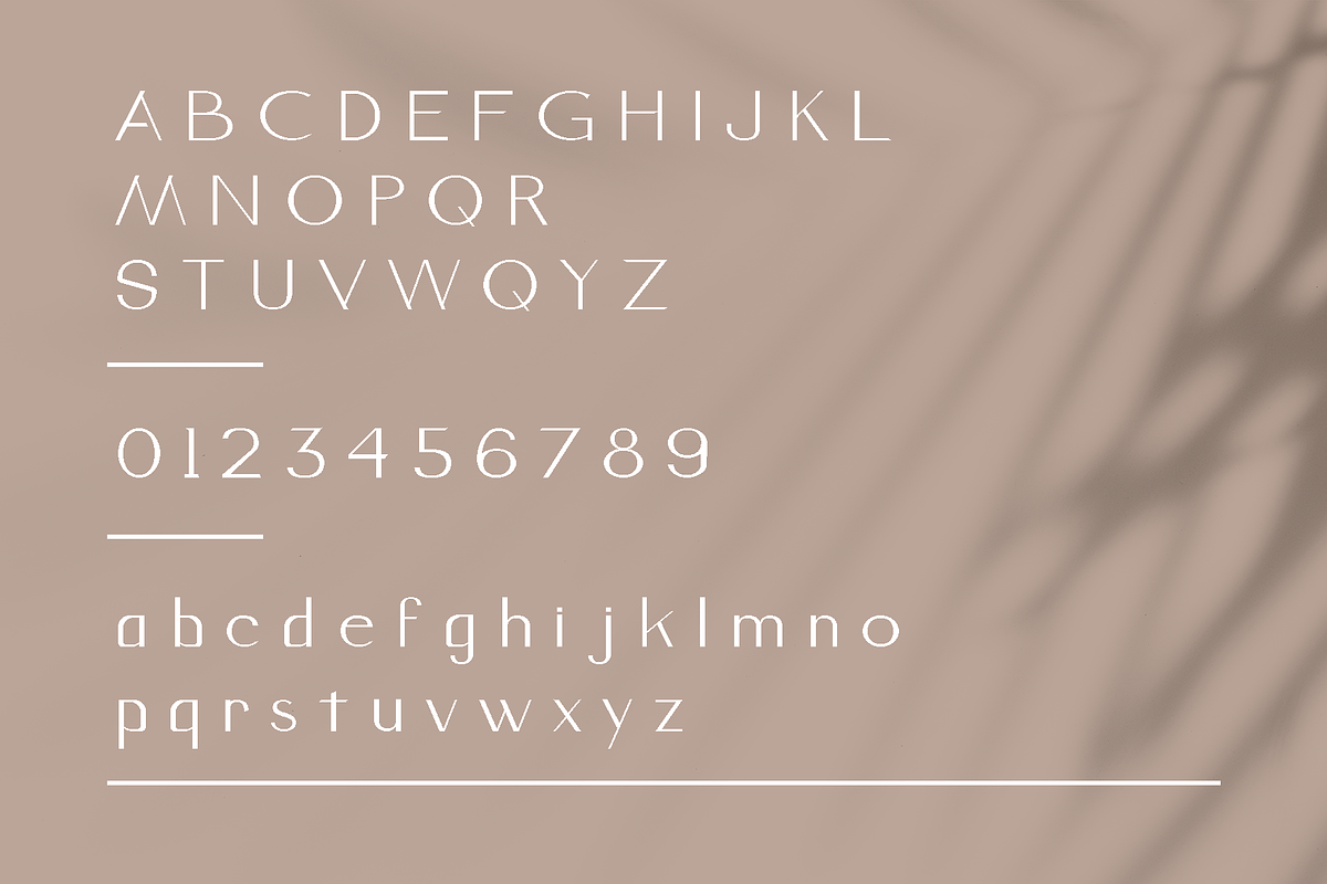 Pabriqa Font, a Sans Serif Font by Rhtype (Photo 8 of 9)