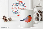 Winter Birds. Vector collection, a Decorative Illustration by Colibri Watercolor (Thumbnail 3 of 9)