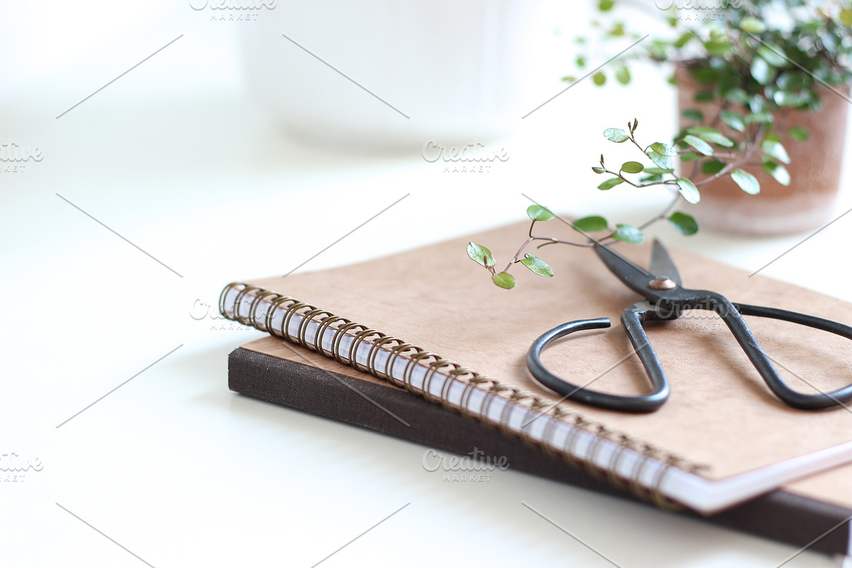 Neutral Collection | Styled Stock, a Business Photo by Chalking Up Stock (Photo 9 of 25)