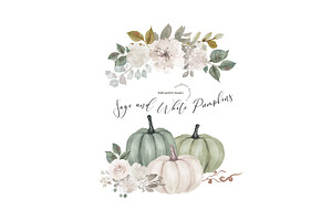 Sage And White Pumpkin Clipart