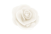 Rose. Vector Set., an Object Graphic by Gomolach (Thumbnail 6 of 6)