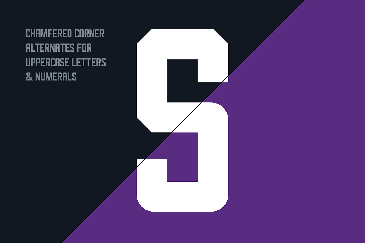 Assembly Regular - Display Font, a Sans Serif Font by Tim Hankins Design (Photo 5 of 7)
