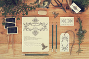 36 Calligraphic Design Elements, a Decorative Illustration by redstudio (Thumbnail 3 of 5)
