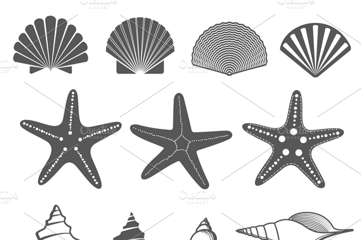Sea shells and starfish vector set, an Icon by Microvector