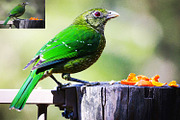 Film Grain Effects, an Action Add-On by MRI STUDIO (Thumbnail 12 of 12)