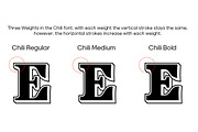 Chili Font Family Complete, a Slab Serif Font by FontMesa (Thumbnail 4 of 8)