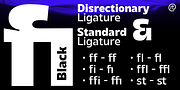 Madiffure Font Family, a Sans Serif Font by Ridtype Foundry (Thumbnail 12 of 12)