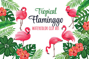 Tropical Flamingo Floral Edition