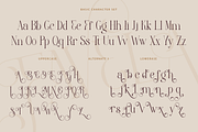Favela, a Font by Font Liner (Thumbnail 11 of 13)