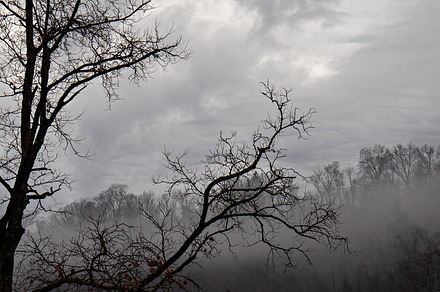 Foggy Photo Bundle