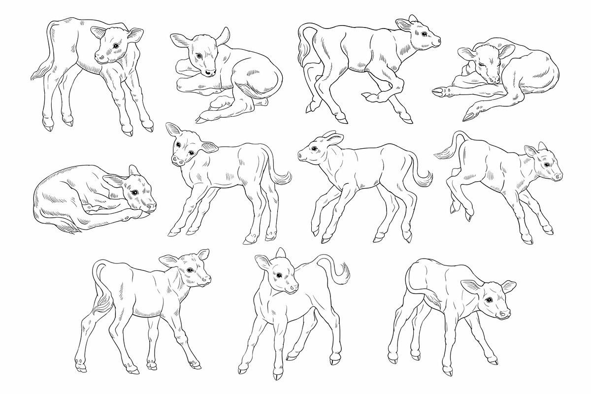 Foals and calves - stamp brushes, a Brush Add-On by ViktoriArt (Photo 3 of 5)