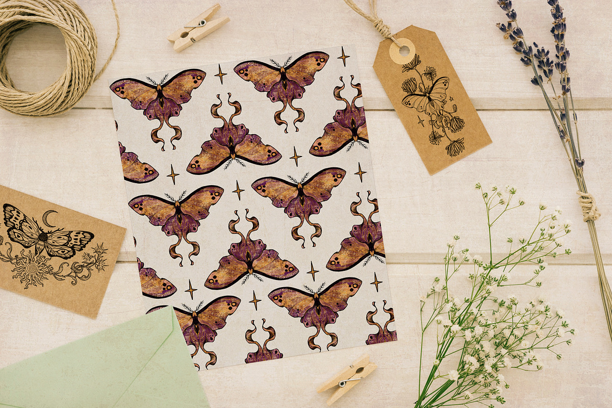 Autumn Moths & Dried Botanicals, an Animal Illustration by Ink Stories (Photo 13 of 18)