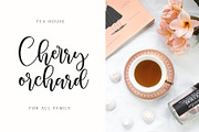 Herbal Infusion, a Handwritten Font by supfonts (Thumbnail 4 of 6)
