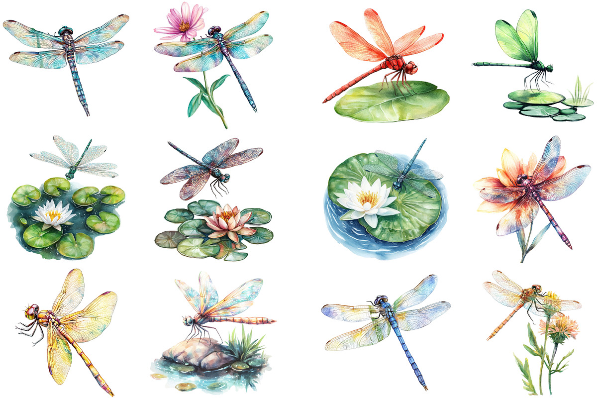Watercolor Dragonfly Clipart, an Illustration by Pixels.Craft (Photo 2 of 5)