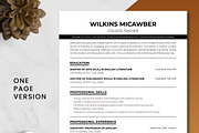 College Teacher Resume Template, a Resume Template by ResumeInventor (Thumbnail 2 of 9)