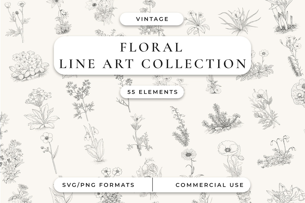 Botanical Floral Line Art Collection, a Decorative Illustration by AW Studios (Photo 1 of 9)